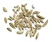 Fennel Seed - 12 Oz Jar Each