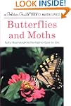 Butterflies and Moths