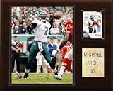 NFL Michael Vick Philadelphia Eagles Player Plaque