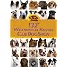 132nd Westminster Kennel Club Dog Show