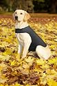 Kurgo Wander Dog Coat, Fleece, Medium
