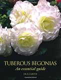 Tuberous Begonias: An Essential Guide