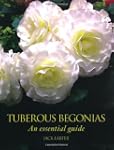 Tuberous Begonias: An Essential Guide