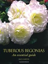 Tuberous Begonias: An Essential Guide
