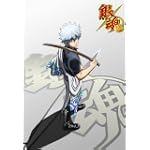  銀魂 シーズン其ノ四 5(完全生産限定版) [DVD]