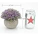 Velener Mini Plastic Artificial Pine Ball Topiary Plant with Pots for Home Decor (Purple Clover)