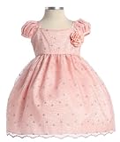 New Metallic Embroidered Mesh Dress in Choice of Champagne or Pink ~ 6M to 24M