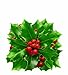EuroQuest Imports Holly Parchment Leaves, Set of 20