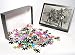 Photo Jigsaw Puzzle of Gold In California from Mary Evans