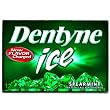 Dentyne Ice Spearmint Sugarless Gum 12 ct Dentyne Ice Spearmint Sugarless Gum 12 ct