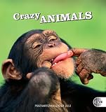 Crazy Animals 2012 Postkartenkalender