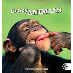 Crazy Animals 2012 Postkartenkalender