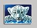 Baby White Tiger Refrigerator Magnet