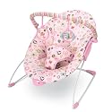 Bright Starts Butterfly Blossom Bouncer