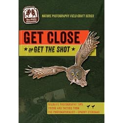 Get Close & Get the Shot: Wildlife Photography Tips & Tricks