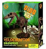Geoworld 23210292 - Velociraptor Ausgrabungsset circa 27 cm