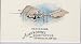 2008 Topps Allen and Ginter Mini Pioneers of Aviation #PA5 Aerodrome (Baseball Cards)