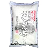 無洗米 新潟県産こしいぶき 5kg 加湿器