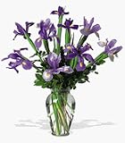Teleflora's Incredible Iris
