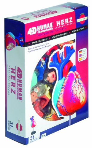 HCM Kinzel Fame Master 556052 - Anatomie Puzzle Herz