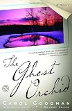 The Ghost Orchid