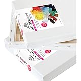 Phoenix&reg; Stretched Canvas 2 Pack 16x20 inch for Artists