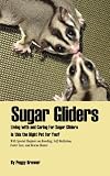Sugar Gliders: Living with and Caring For Sugar Gliders Is this the Right Pet for You? (Is This the Right Pet for You?)