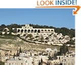 Mormons in Jerusalem: The Untold Story of the Brigham Young University Jerusalem Center