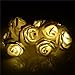 INST 10 LED Battery Operated White Rose Flower Fairy Lights Valentine Lights For Valentine's Day(Warmwhite)