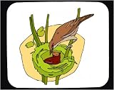 Decorated Mouse Pad with warbler image