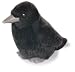 Wild Republic Bb Bird American Crow 6