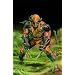 Wolverine Origins: Romulus