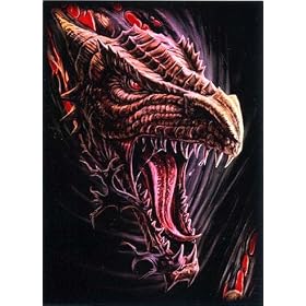 YuGiOh MAX Protection 50 Count Gaming Card Sleeves Dare to Tear Dragon