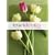 True Identity: The Bible for Women (TNIV) (Today's New International Version)
