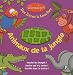 Animaux de la jungle
