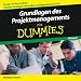 Grundlagen Des Projektmanagements Fur Dummies Horbuch: Hörbuch (Für Dummies)