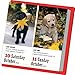365 Dogs 2015 Calendar