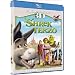 Shrek Terzo (3D) (Blu-Ray 3D+Dvd)