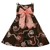 Bonnie Jean Toddler Girls 2T-4T BROWN ROSE PINK BONAZ RIBBON SHIMMER TAFFETA Special Occasion Party Dress