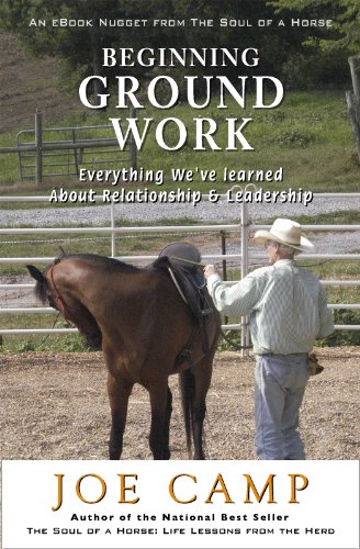  BEGINNING GROUND WORK: Everything We've Learned about Relationship & Leadership (eBook Nuggets from The Soul of a Horse)