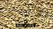 canary seed alpiste 5lbs