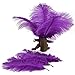 Leegoal Home Decor Purple Ostrich Feathers 10-15cm