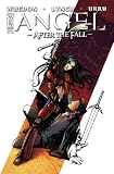 Angel After the Fall #3 2nd Printing