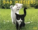 Bad Kitties 2008 Wall Calendar