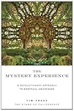 Mystery Experience [Paperback]