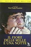 Il Fiore Delle Mille E Una Notte