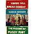 Words Will Break Cement: The Passion of Pussy Riot