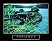 Army Sniper Patience Motivational Poster Army Rangers Art Poster Print, 28x22 Art Poster Print, 28x22 Art Poster Print, 28x22 Army Sniper Patience Motivational Poster Army Rangers Art Poster Print, 28x22 Art Poster Print, 28x22 Art Poster Print, 28x22