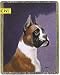 Dog Throw - Boxer