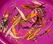 51mHRHzihoL. SL75  Koi Pond Kits  Everything You Need To Know